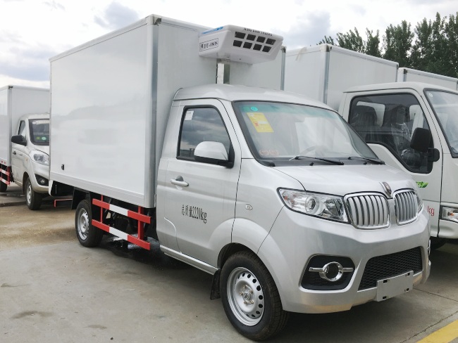 (Tamanho: 2,9 metros) Caminhão Refrigerado Golden Cup T30