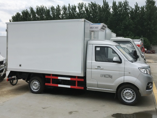 (Tamanho: 2,9 metros) Caminhão Refrigerado Golden Cup T30