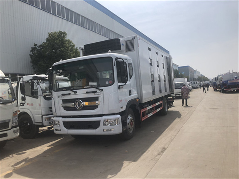 Veículo de transporte de gado Dongfeng Dolica D9