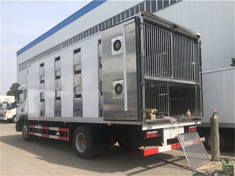 Veículo de transporte de gado Dongfeng Dolica D9